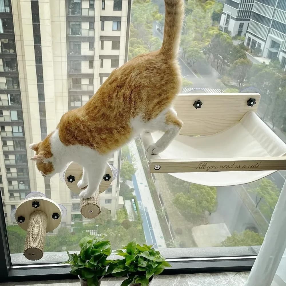 étagère à chat suspendue
