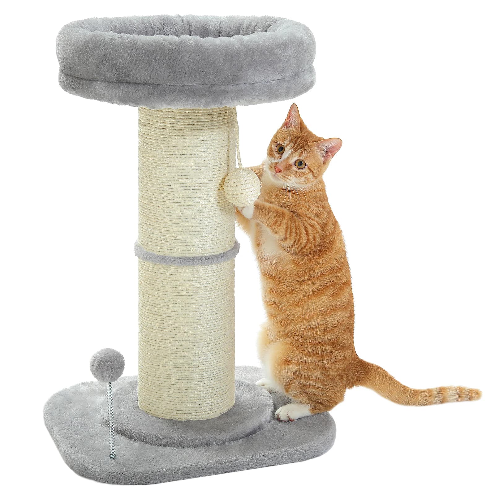 arbre à chat en bois flottté