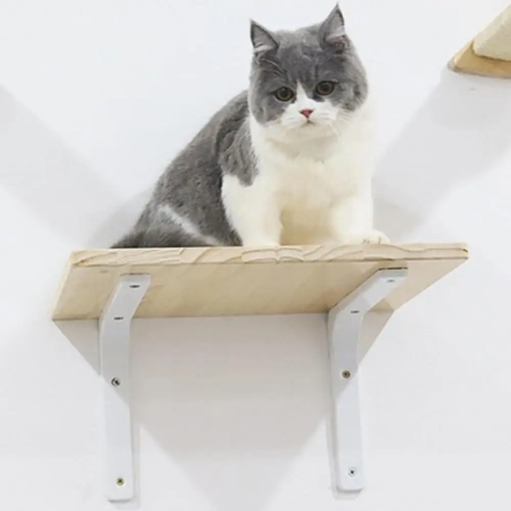 Arbre à chat bois - Chat éthéré