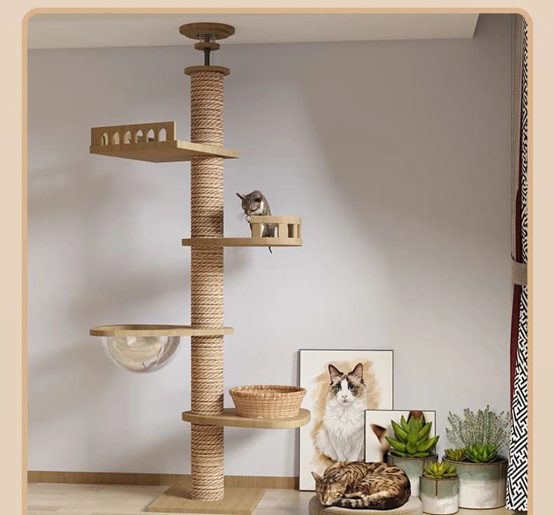 Arbre à chat bois - Arbre à rêves